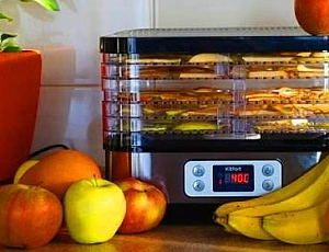 5 лучших сушилок для фруктов и овощей по цене и качеству