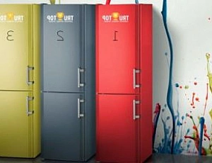 5 лучших холодильников Beko