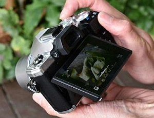 10 лучших полнокадровых фотоаппаратов