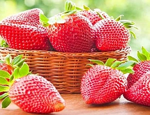 10 лучших сортов клубники для Сибири