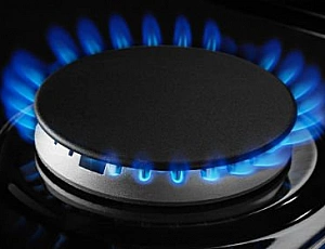 10 самых дешевых газовых плит